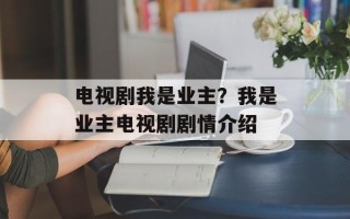电视剧我是业主？我是业主电视剧剧情介绍