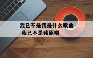 我已不是我是什么歌曲 我已不是我原唱