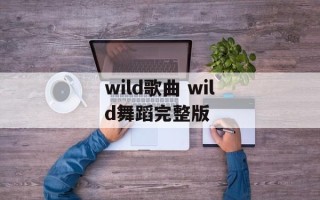 wild歌曲 wild舞蹈完整版