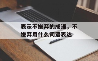 表示不嫌弃的成语，不嫌弃用什么词语表达