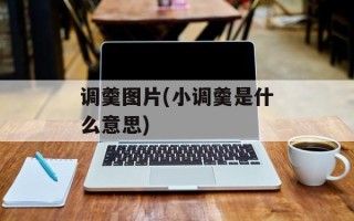 调羹图片(小调羹是什么意思)