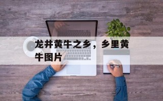 龙井黄牛之乡，乡里黄牛图片