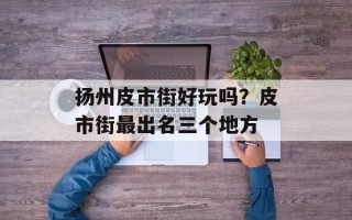 扬州皮市街好玩吗？皮市街最出名三个地方