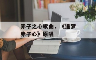 赤子之心歌曲，《追梦赤子心》原唱