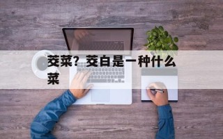 茭菜？茭白是一种什么菜