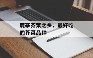 鹿寨芥菜之乡，最好吃的芥菜品种