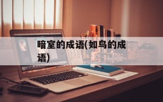 暗室的成语(如鸟的成语)