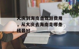 大庆到海南自驾游费用，从大庆去海南走哪条线最好