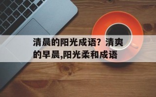 清晨的阳光成语？清爽的早晨,阳光柔和成语