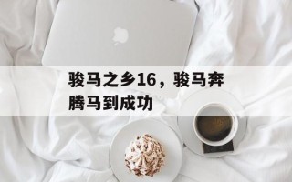 骏马之乡16，骏马奔腾马到成功