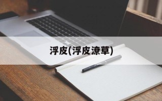 浮皮(浮皮潦草)