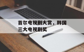首尔电视剧大赏，韩国三大电视剧奖