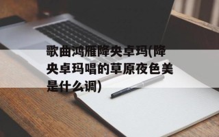 歌曲鸿雁降央卓玛(降央卓玛唱的草原夜色美是什么调)