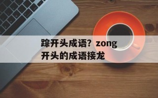 踪开头成语？zong开头的成语接龙
