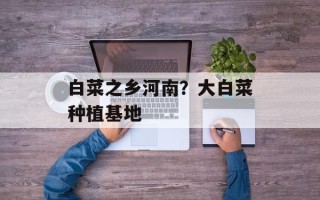 白菜之乡河南？大白菜种植基地