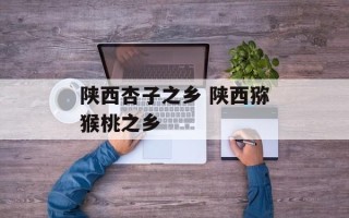 陕西杏子之乡 陕西猕猴桃之乡