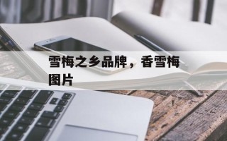 雪梅之乡品牌，香雪梅图片