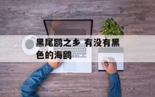 黑尾鸥之乡 有没有黑色的海鸥