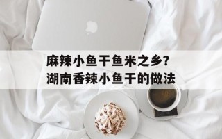 麻辣小鱼干鱼米之乡？湖南香辣小鱼干的做法