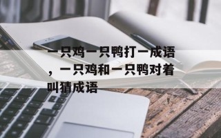 一只鸡一只鸭打一成语，一只鸡和一只鸭对着叫猜成语