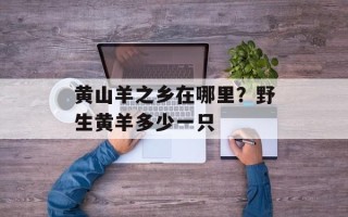 黄山羊之乡在哪里？野生黄羊多少一只