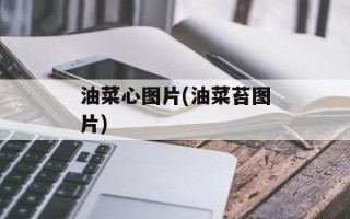 油菜心图片(油菜苔图片)