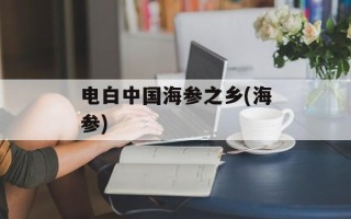 电白中国海参之乡(海参)