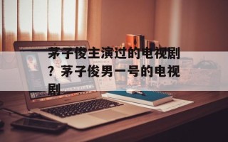 茅子俊主演过的电视剧？茅子俊男一号的电视剧