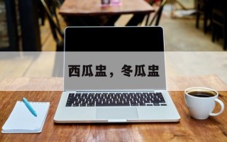 西瓜盅，冬瓜盅