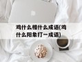 鸡什么相什么成语(鸡什么阳象打一成语)