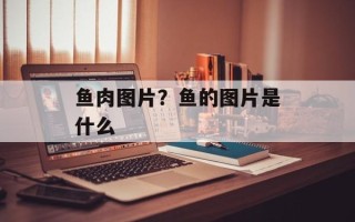 鱼肉图片？鱼的图片是什么