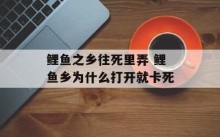 鲤鱼之乡往死里弄 鲤鱼乡为什么打开就卡死
