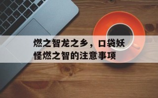 燃之智龙之乡，口袋妖怪燃之智的注意事项