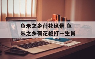 鱼米之乡荷花风景 鱼米之乡荷花艳打一生肖