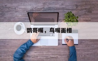 鹦哥嘴，鸟嘴面相