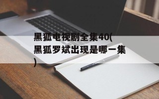黑狐电视剧全集40(黑狐罗斌出现是哪一集)