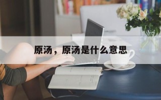原汤，原汤是什么意思