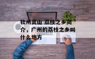 钦州灵山 荔枝之乡简介，广州的荔枝之乡叫什么地方