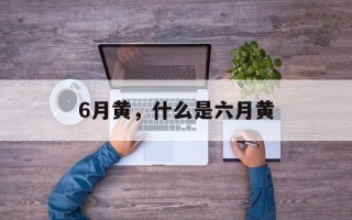 6月黄，什么是六月黄