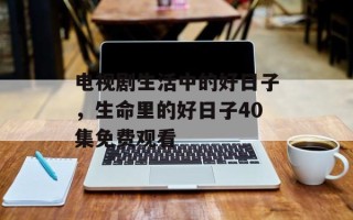 电视剧生活中的好日子，生命里的好日子40集免费观看