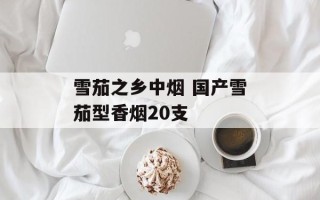 雪茄之乡中烟 国产雪茄型香烟20支