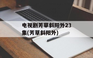电视剧芳草斜阳外23集(芳草斜阳外)