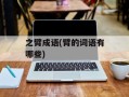 之臂成语(臂的词语有哪些)