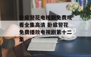 卧底警花电视剧免费观看全集高清 卧底警花免费播放电视剧第十二集