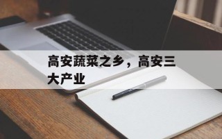 高安蔬菜之乡，高安三大产业
