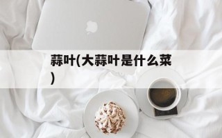 蒜叶(大蒜叶是什么菜)