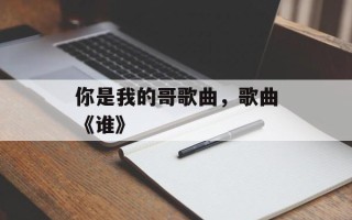 你是我的哥歌曲，歌曲《谁》