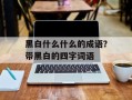 黑白什么什么的成语？带黑白的四字词语