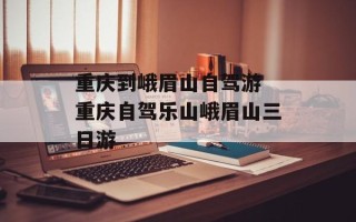 重庆到峨眉山自驾游 重庆自驾乐山峨眉山三日游