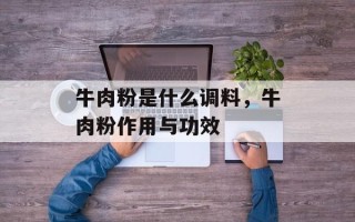 牛肉粉是什么调料，牛肉粉作用与功效